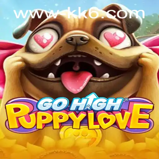 kk6.com Casino App